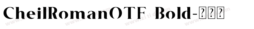 CheilRomanOTF Bold字体转换